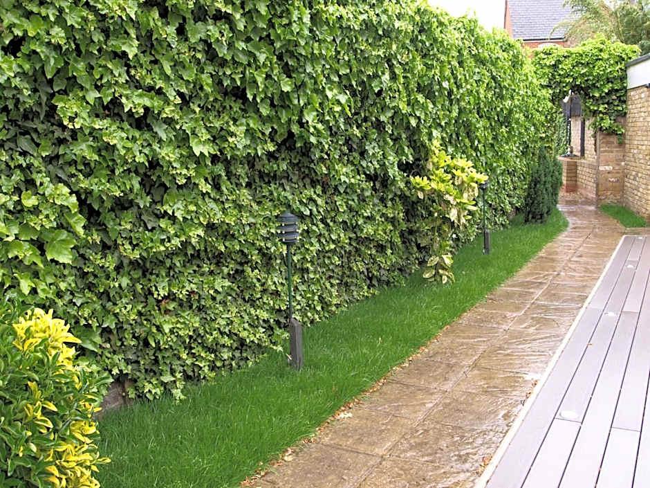 Best Western Chiswick Palace & Suites London