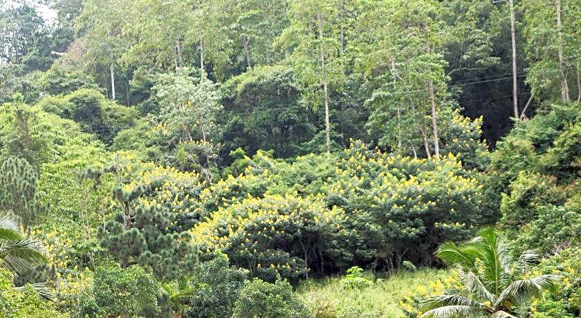 Funk Bunk Inn - Bed & Breakfast