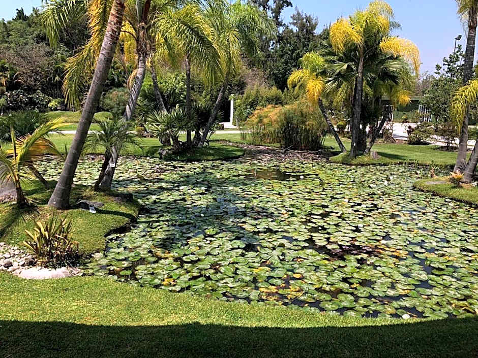 Huayacán Cuernavaca Curamoria Collection