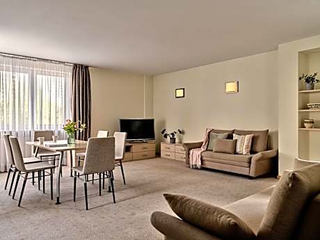 Deluxe One-Bedroom Apartment