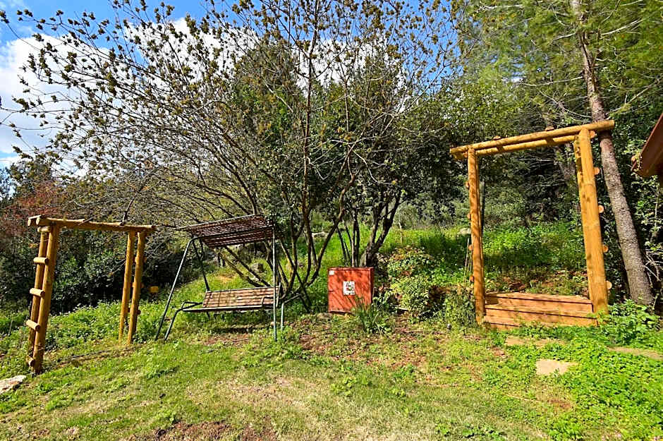 Zimmers at the Forest