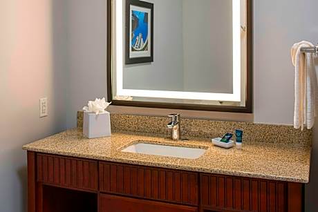 One-Bedroom King Suite