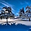 Hotel Tyrol - Oberstaufen PLUS Partner