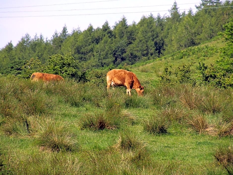 Garbhein Bed & Breakfast