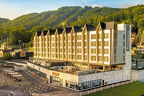 Residence Inn by Marriott Bromont