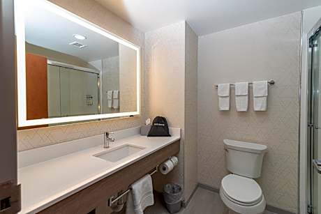 Mini King Suite - Non-Smoking