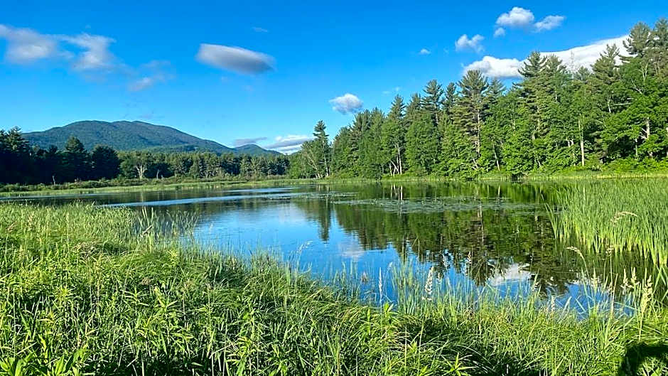 Whiteface Farm Adirondack Bed and Breakfast
