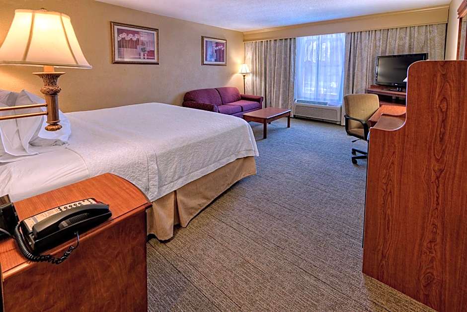 Hampton Inn By Hilton Manning, Sc