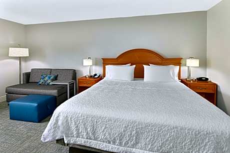 1 King Bed Nonsmoking