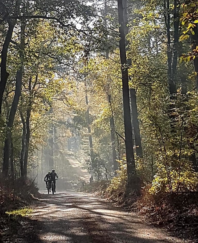 B&B De Loenense Bossen