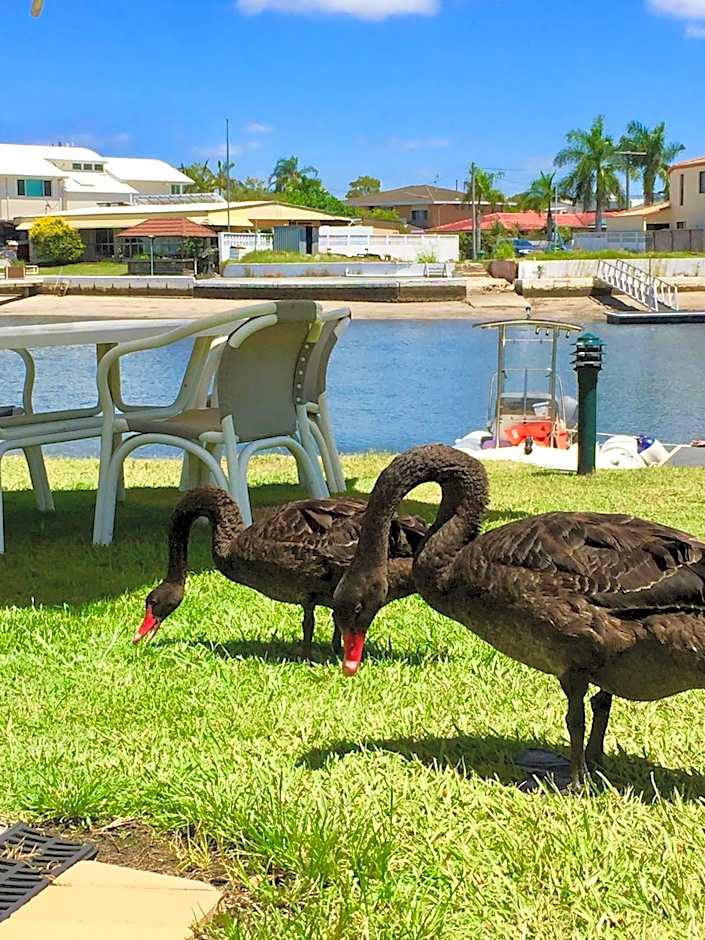 Pelican Cove Waterfront Apartment