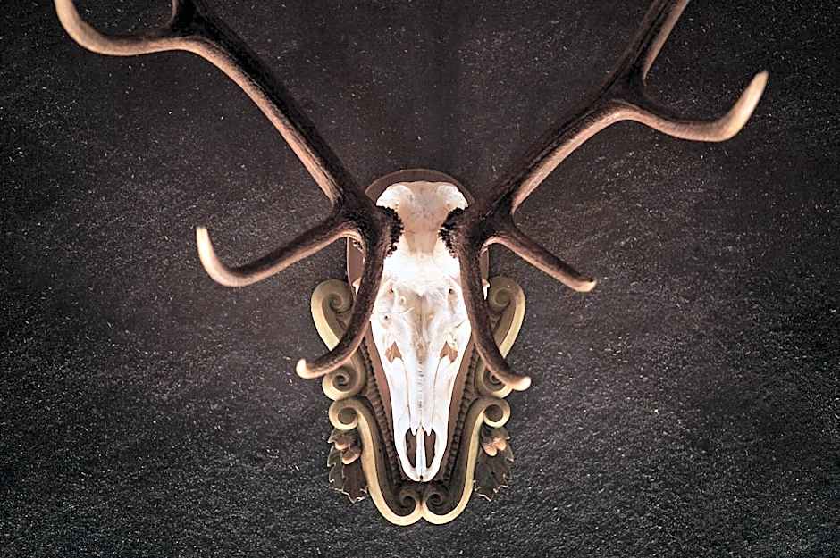 Dolomites Wellness Hotel Savoy