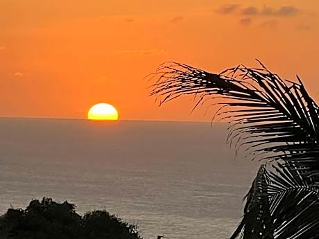 Saipan Emerald Villa