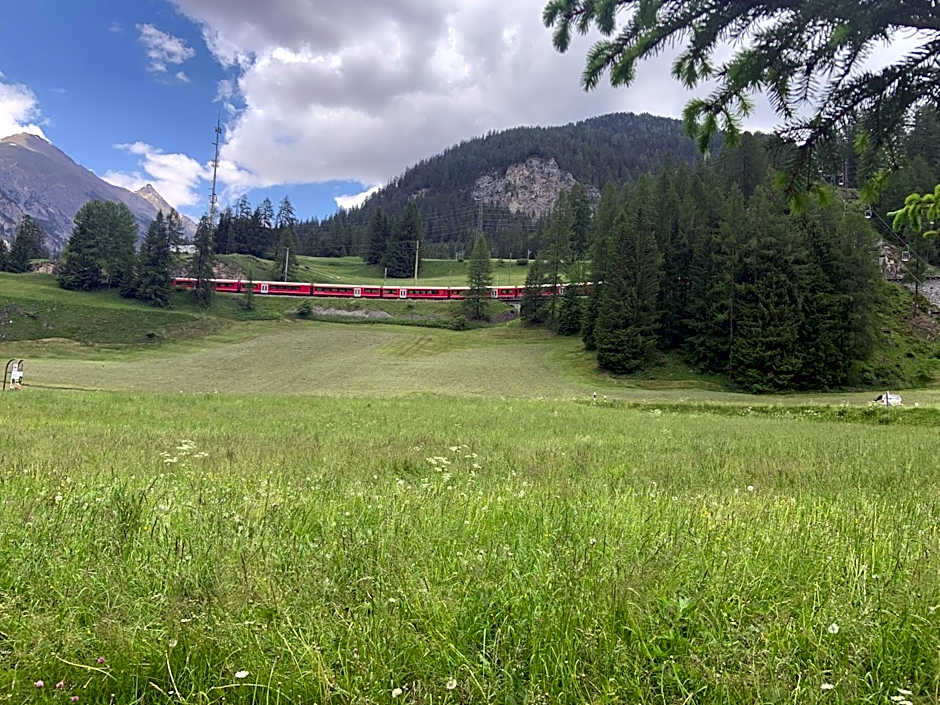 Bed and Breakfast Darlux