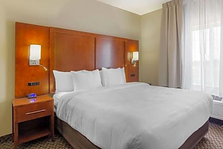 King Suite with Sofa Bed - Non-Smoking