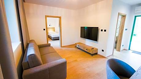 One-Bedroom Apartment with Terrace