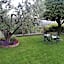La Casa Tra Gli Ulivi
