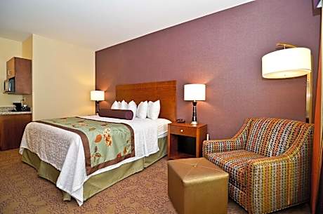 1 King Bed, Non-Smoking, Pillowtop Bed, 37 Inch Lcd Television, Microwave And Refrigerator, Full Bre