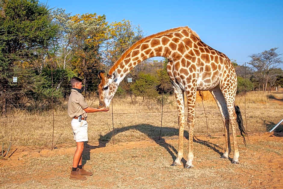 Sondela Nature Reserve & Spa Country House