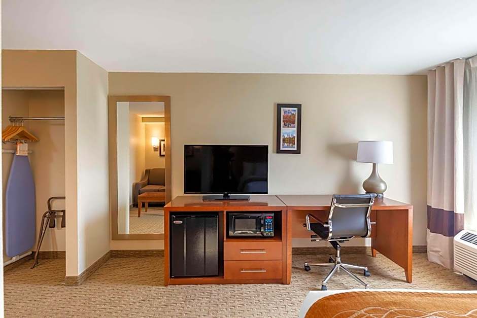 Comfort Inn Kennesaw