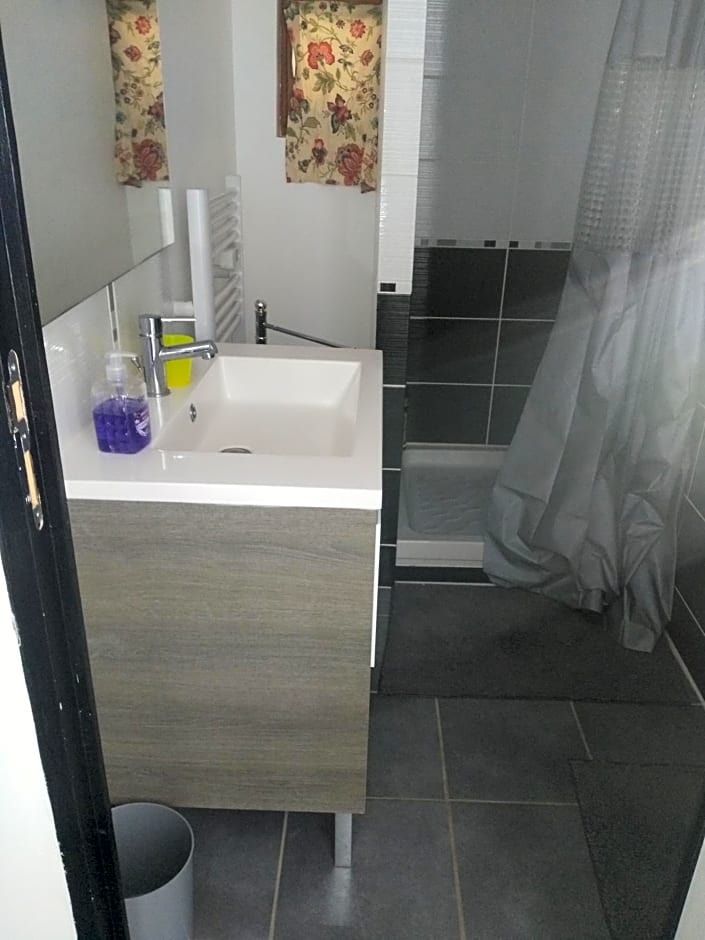 Le camélia de la mazarié