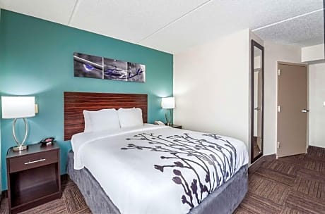 1 Queen Bed, Nonsmoking, Accessible Free Breakfast