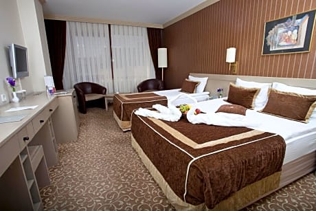 Standard Double or Twin Room
