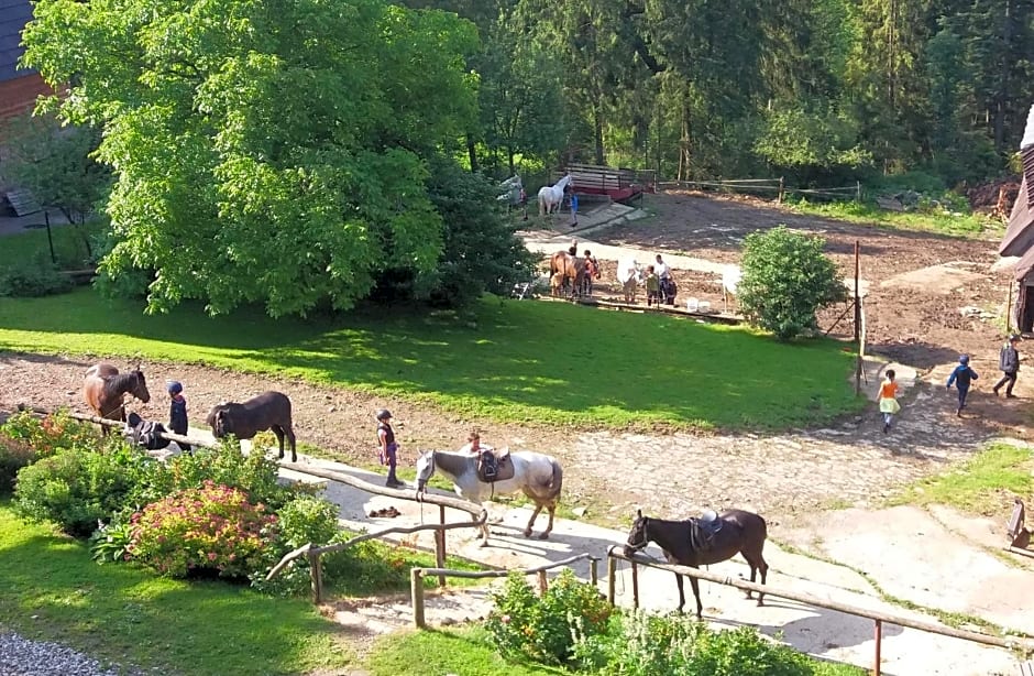 Górski Ośrodek Jeździecki - Śniadania - Termy