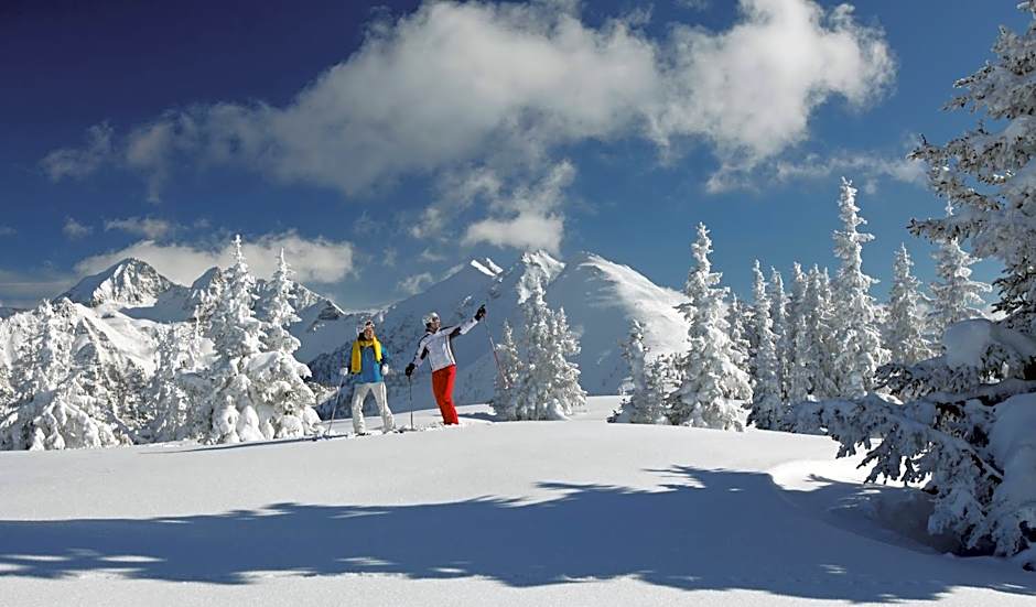 Aparthotel DAS Hochkönig