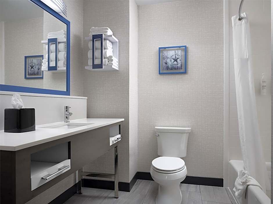 Hampton Inn & Suites Dallas-DFW ARPT W-SH 183 Hurst