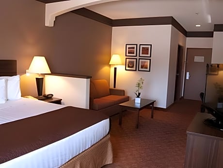 1 Bedroom King Suite