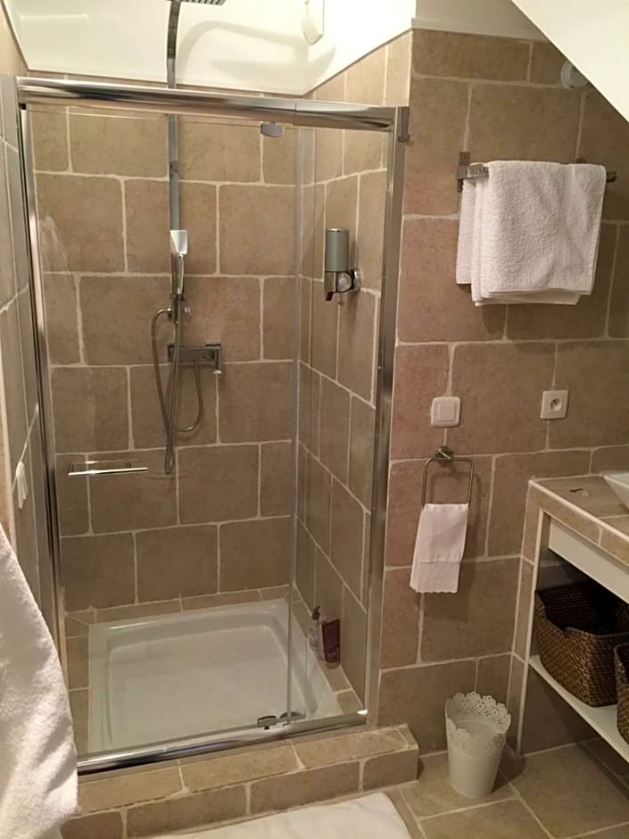 Les Prémices De La Forêt