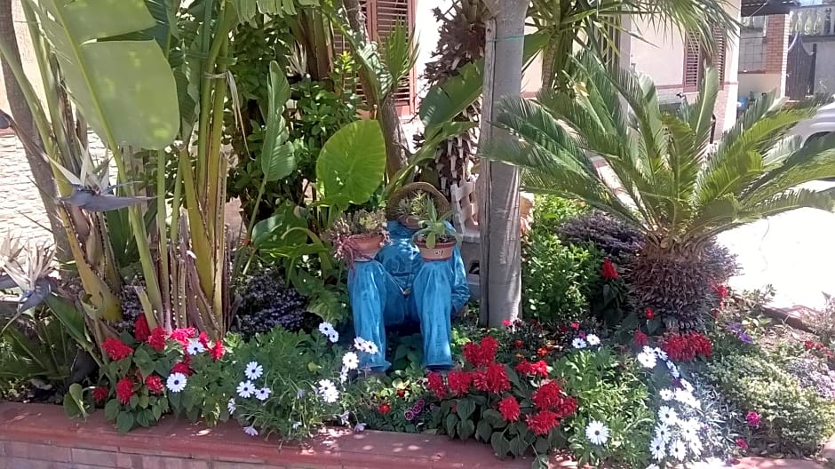 B&B La Porta Del Cilento