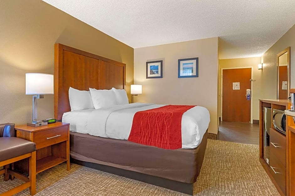 Comfort Inn University Wilmington