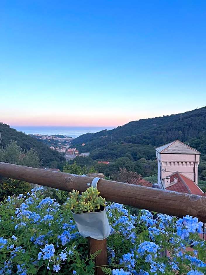 Il RosAle a Celle Ligure