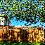 Strathaird Bed and Breakfast