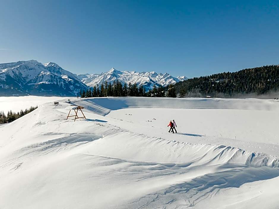 Hotel Der Schmittenhof