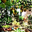 Villa dei fiori B&B