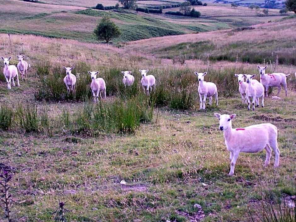 Upper Gilwern Quarry Hut