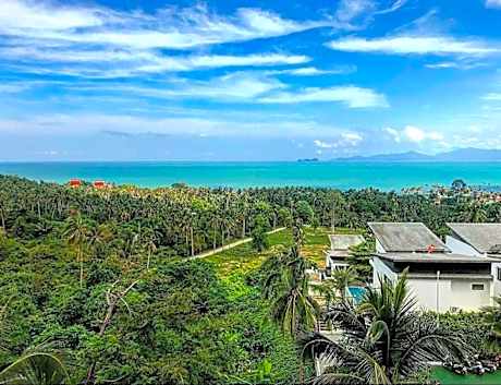 One Bedroom Terrace Suite