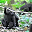 Tangkoko Ranger Homestay