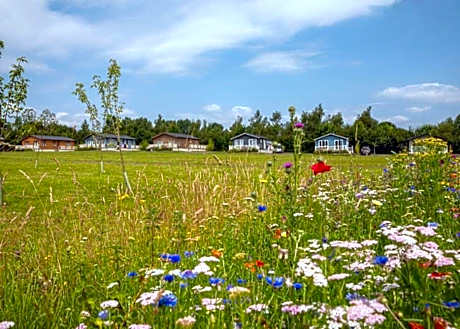 Otters Mead Boutique Lodges