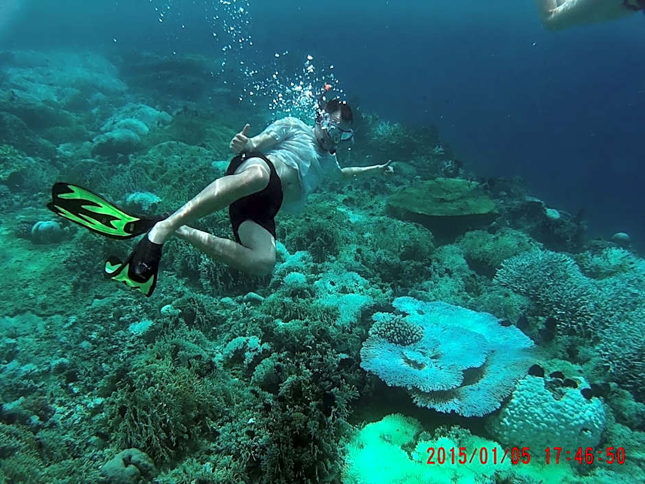 Krisna Bungalows and Restaurant