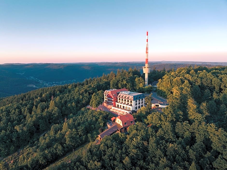 Berggasthof Königstuhl