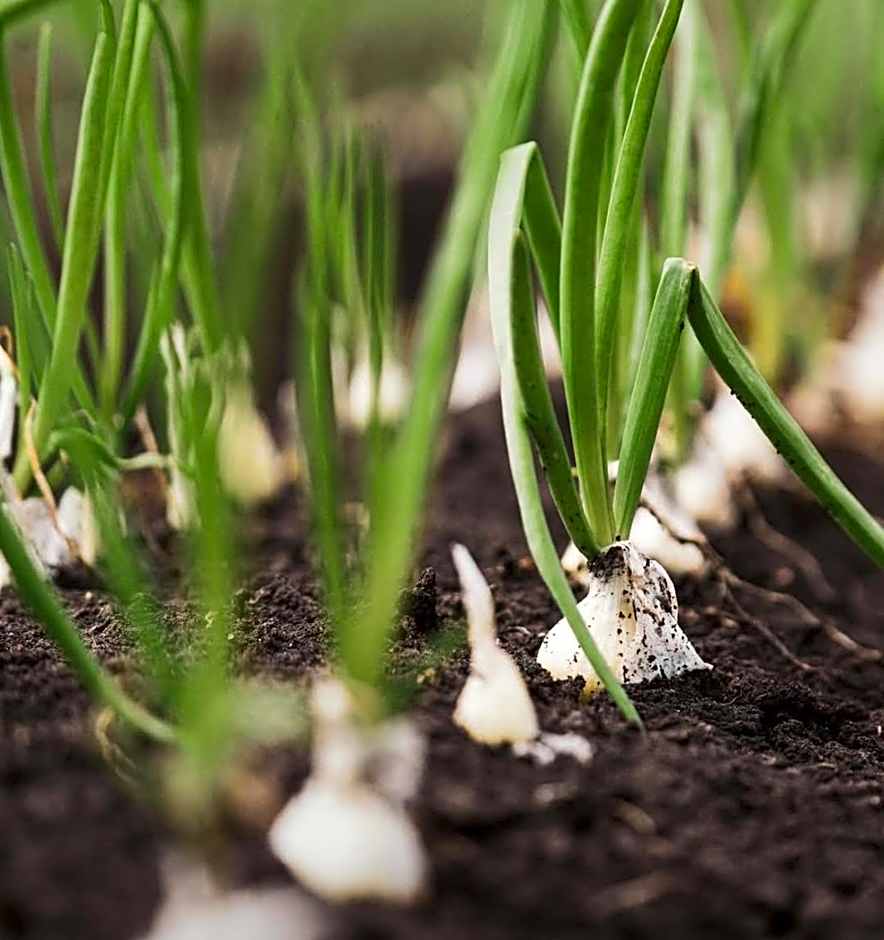 Hotel Serawa Moraira