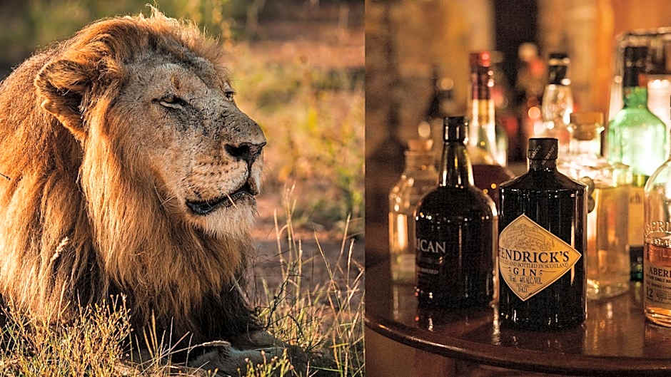 Geiger's Camp in Timbavati Game Reserve by NEWMARK