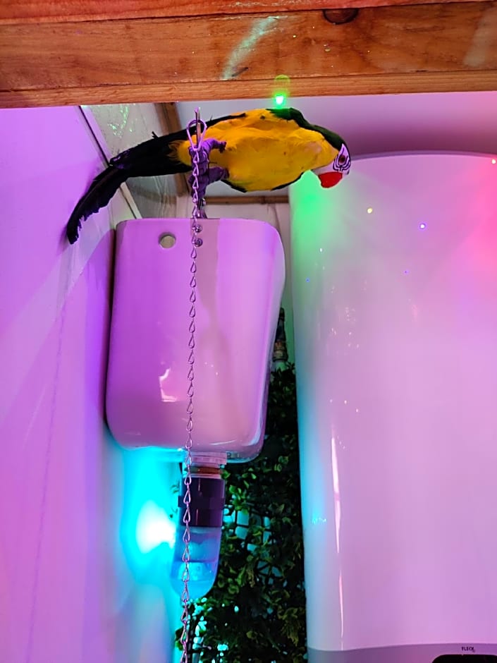 Wonder Room Paraiso Magico Habitacion