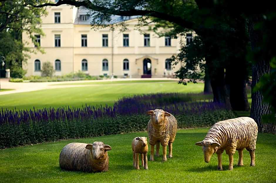 Chateau Mcely