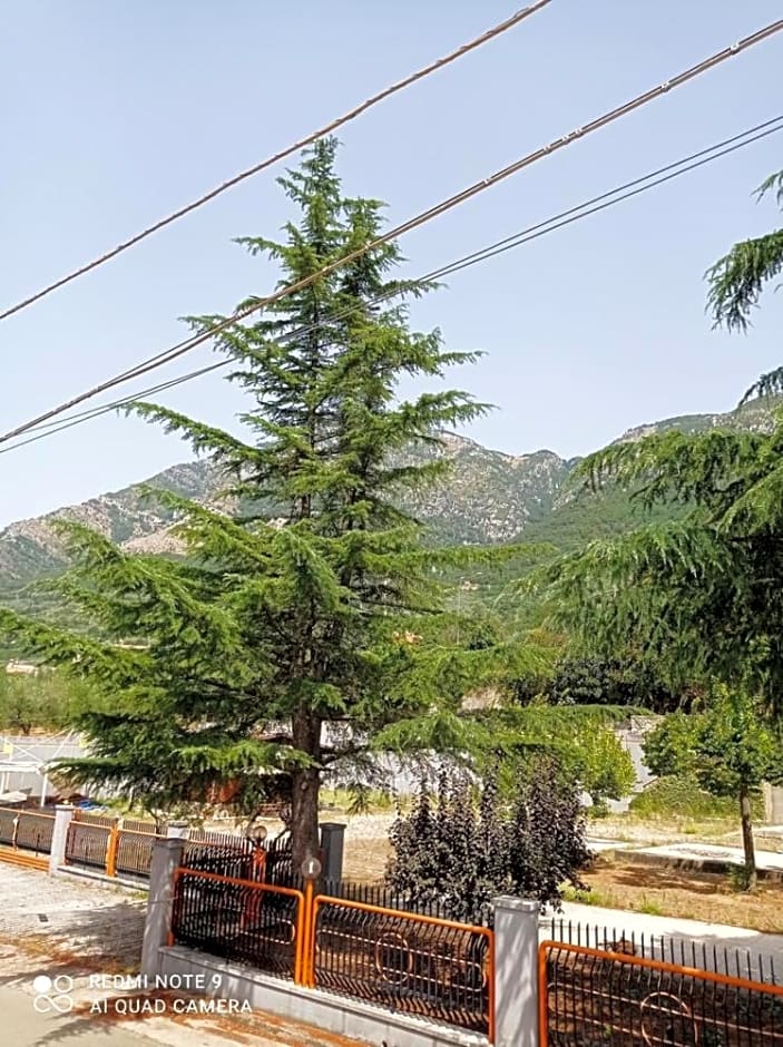 La Carrozza sul Titerno