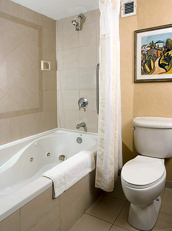 Hilton Garden Inn Atlanta Airport/Millenium Center